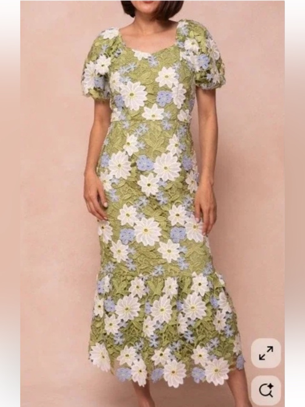 Ivy City Co Meadow Floral Appliqué Dress